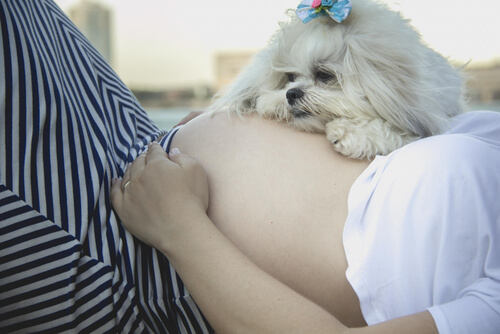 Mujer embarazada de bebé y perro