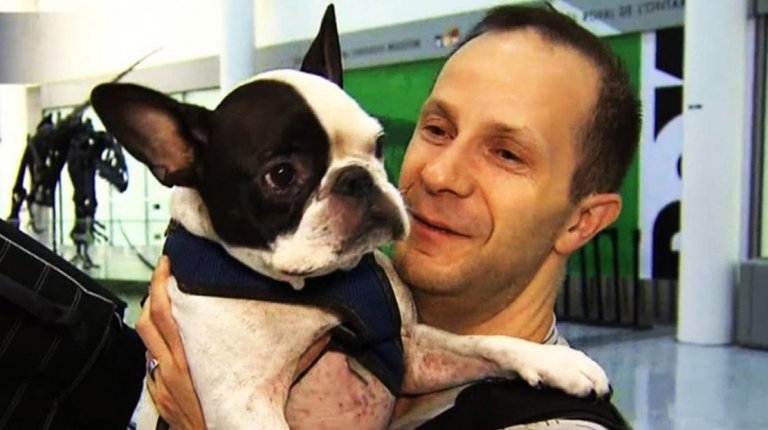 Un piloto de avión salva la vida de un perro