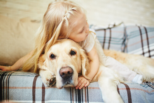 little girl hugging a golden retriever with anxiety.