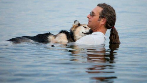 Conoce a las mascotas más famosas de Facebook Conoce a las mascotas más famosas de Facebook