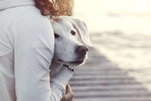 Woman hugging a dog