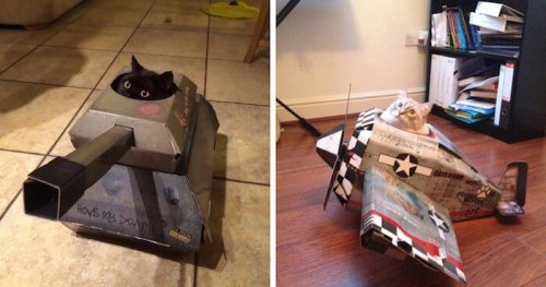'Tanques' y 'aviones' para gatos