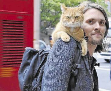 Stray cat named Bob sitting on James Bowen's shoulder.
