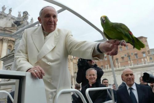 El Papa Francisco y los animales