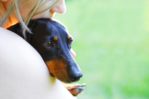 Descubre las historias de mujeres que lucharon por los derechos de los animales