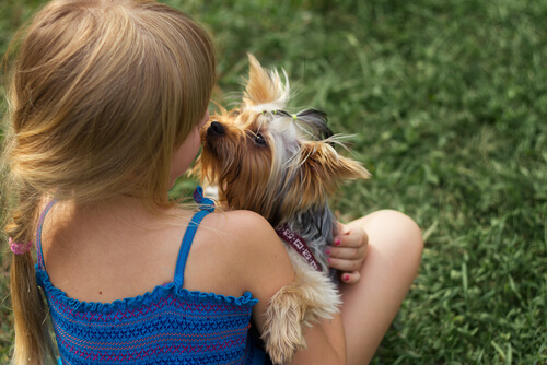 ¿Por qué mi hijo y el perro no se llevan bien?