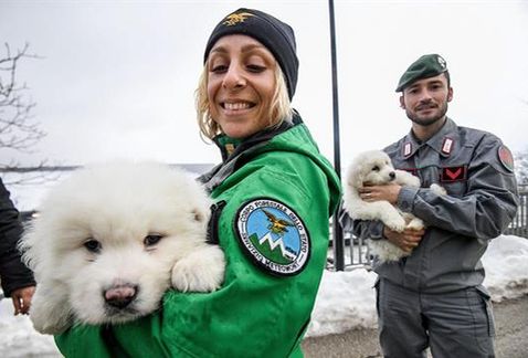 El alud en Italia atrapa a tres cachorros que son rescatados