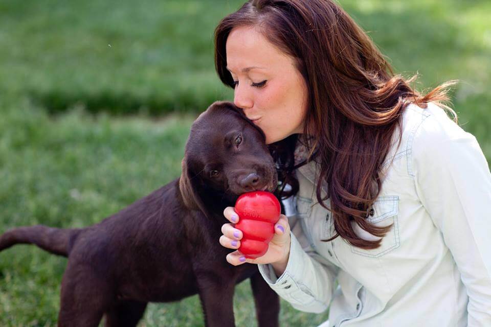 Kong: juguetes para perros