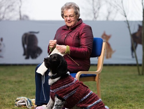 Voluntária costurando roupa para cachorros sem casa