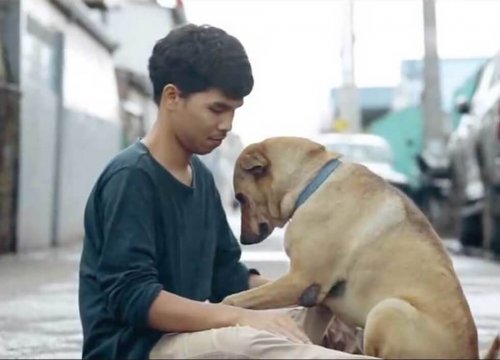 Un joven da el primer abrazo a los perros sin hogar