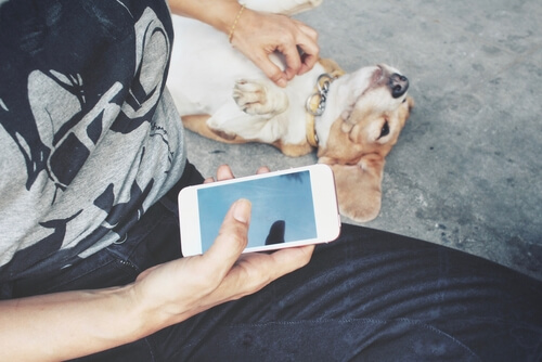 Las 10 mejores redes sociales para mascotas