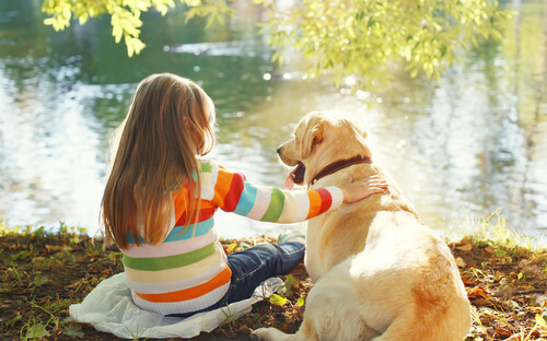Razas de perro para jugar con niños