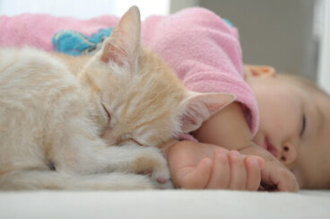 ¿Los gatos pueden calmar el llanto de un bebé?