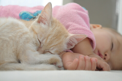 Gato durmiendo con un niño