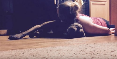 Colt, el perro entrenado para asistir a su dueña