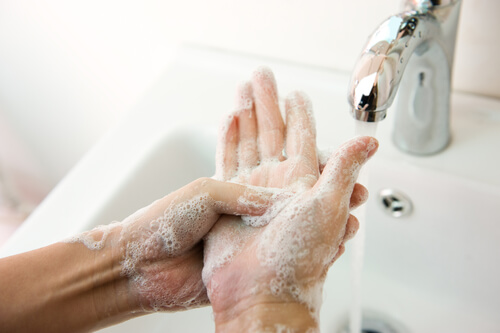 Lavarse las manos es crucial
