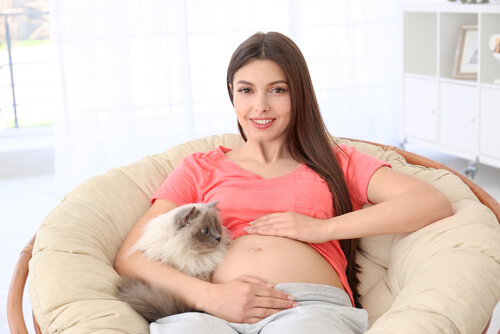 Mascotas y maternidad: toxoplasmosis