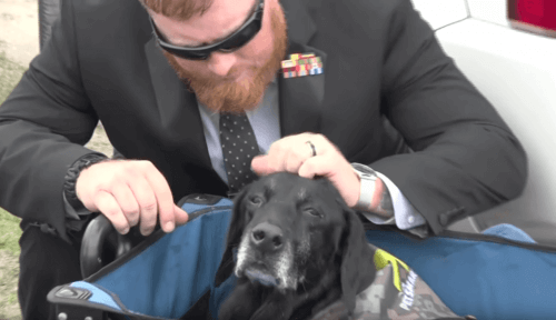 El bonito adiós de los marines a Cena El bonito adiós de los marines a Cena