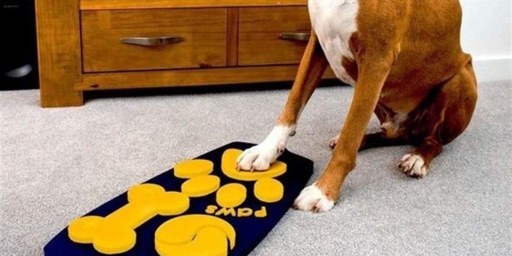 El primer mando de televisión para perros