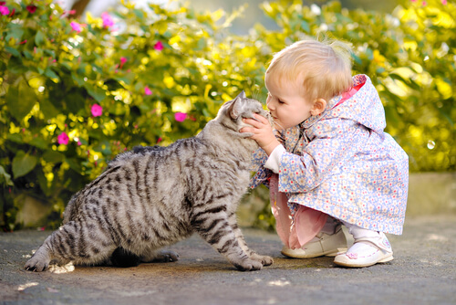 un-gato-con-tu-bebe Un gato con tu bebe