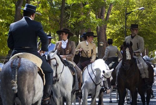 Caballos pura raza española
