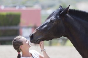 Los caballos intuyen nuestras emociones