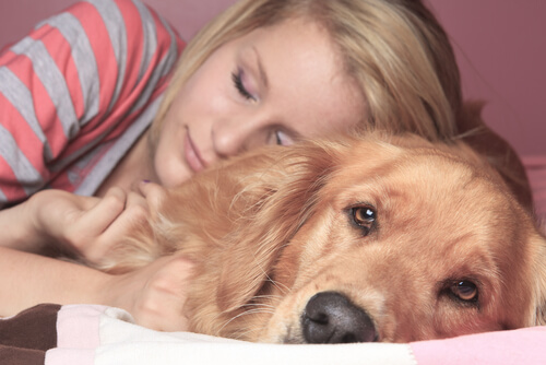 Dormir con nuestra mascota: pros y contras