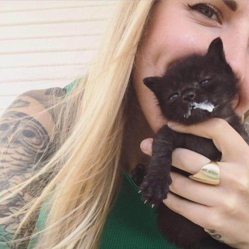 Kitten lady con un gatito negro