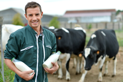 Beneficios de la leche animal: vaca