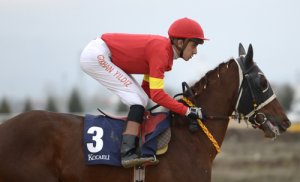 9 razas de caballos de carreras