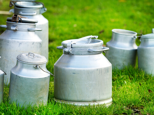 Origen de la leche animal