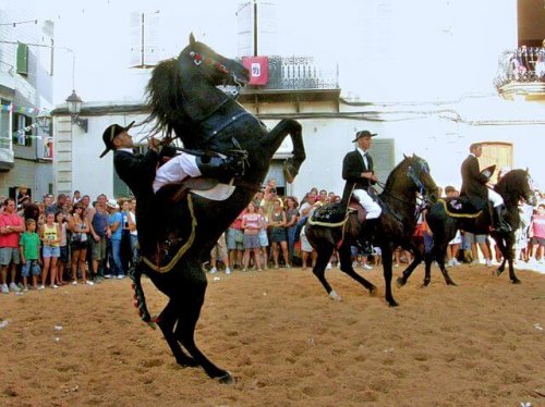 15 razas de caballo españolas