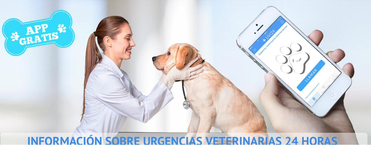 APP UVI 24 horas de urgencias para mascotas