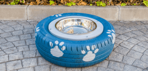 ¿Cómo hacer un bebedero para perros casero?