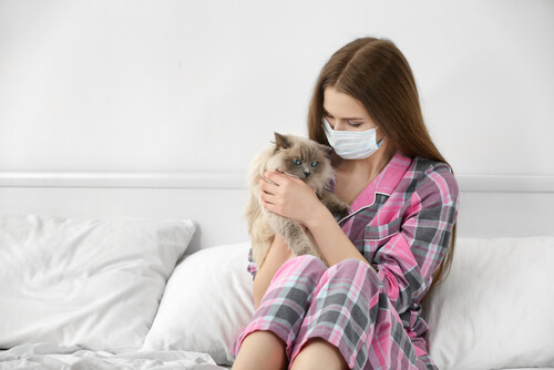Causas de la alergia a gatos y consecuencias
