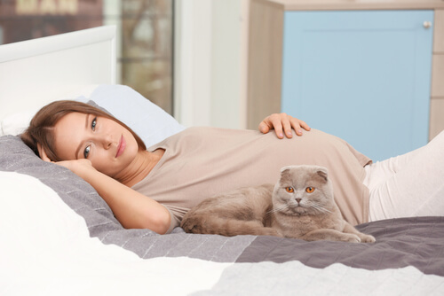 Convivencia con mascotas durante el embarazo: gato