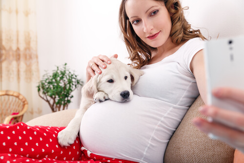 Convivencia con mascotas durante el embarazo: perro