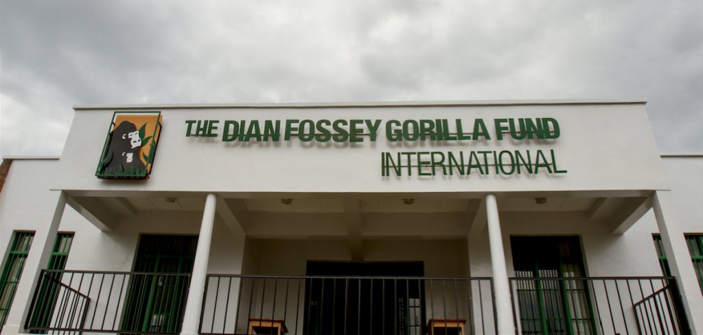 ¿Quién fue Dian Fossey?