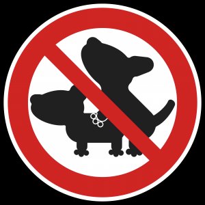 Satiriasis canina: consejos para calmar el apetito sexual de los perros