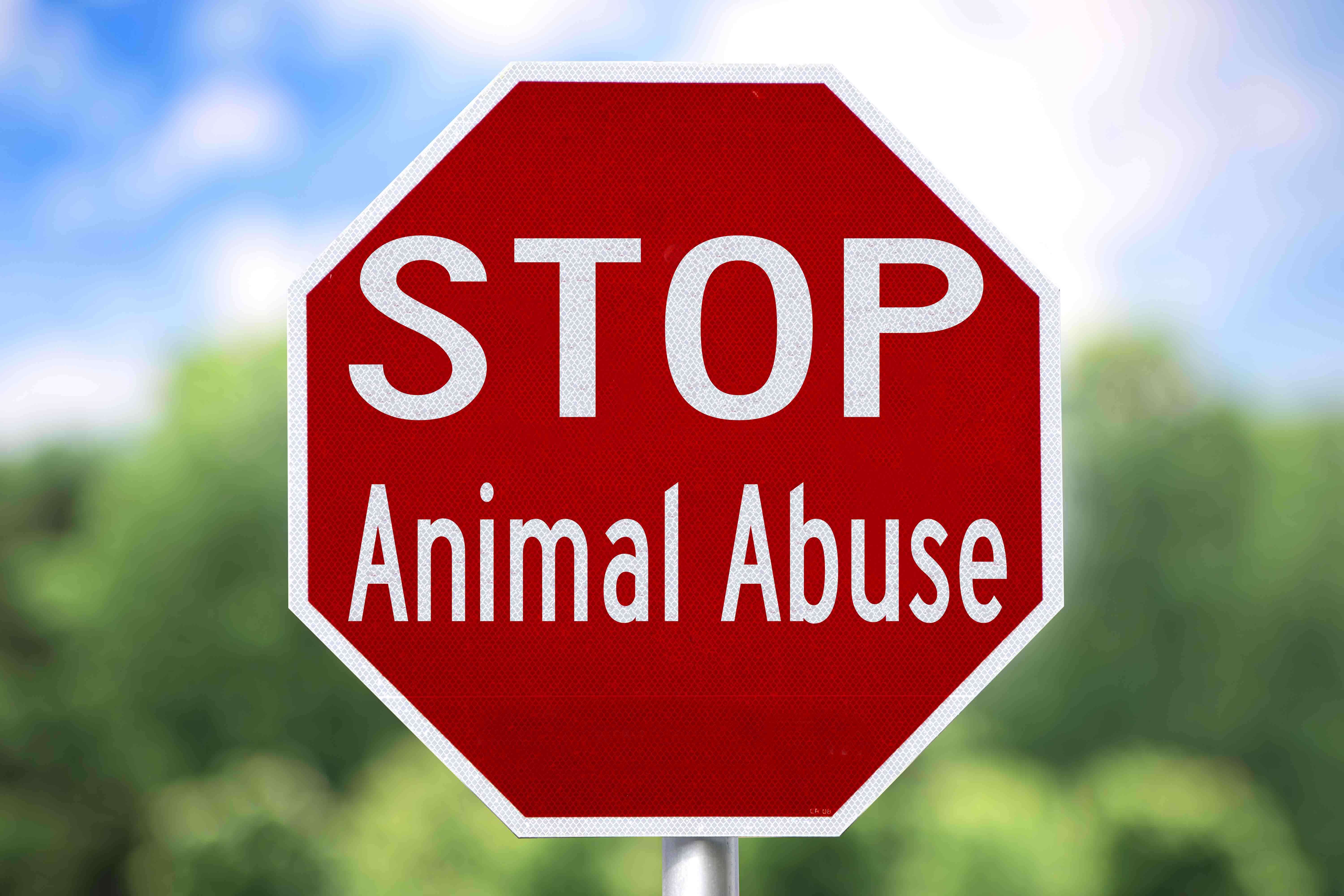 Stop maltrato animal