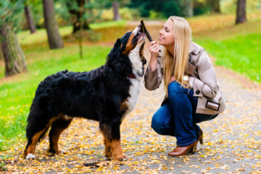 Los efectos psicológicos de tener un perro