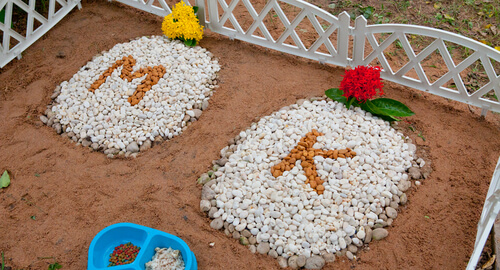 Cementerios para animales domésticos