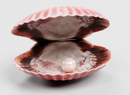 Cómo se crean las perlas en las ostras