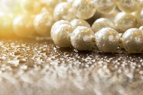 Cómo se fabrican las perlas en las ostras.