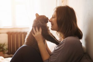 La llegada del gatito a casa: ¿qué necesitas?