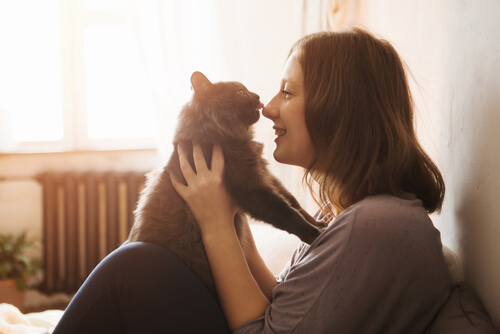 Cómo ganarse la confianza de un gato: consejos y pasos a seguir