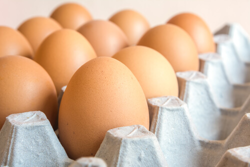 Cómo mejorar la calidad de los huevos de gallinas