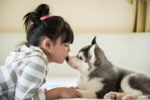 Qué hacer con un cachorro que todavía no puede salir de casa