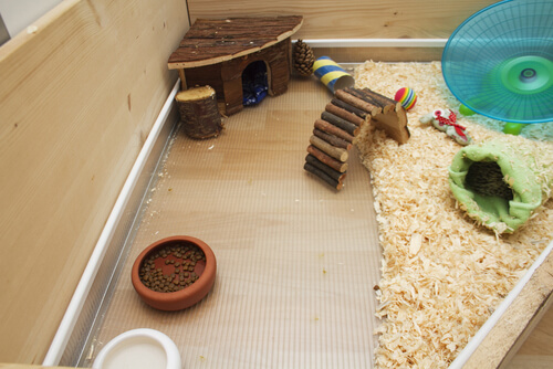 Entretenimiento para la jaula de la cobaya