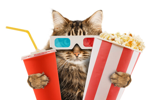 El gato en el cine: películas